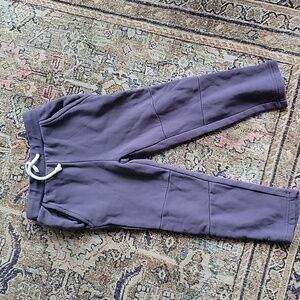 Little rowe (Jackson rowe) fleece lined joggers bnwot 4t